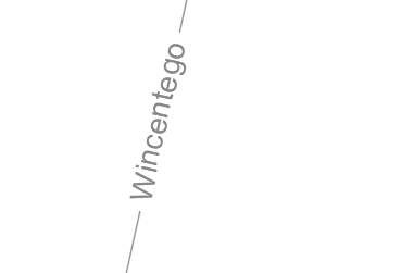 Opisana ulica w ZWCADzie Opisana ulica w ZWCADzie