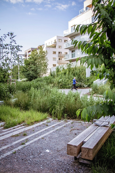 PoPo Park we Wrocławiu