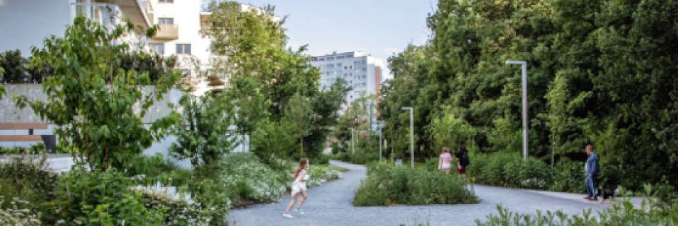 Precyzja w projektowaniu natury