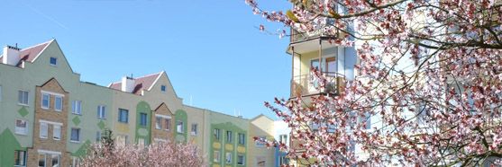 Referencje Na Skarpie